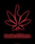 pic for Smoke Different